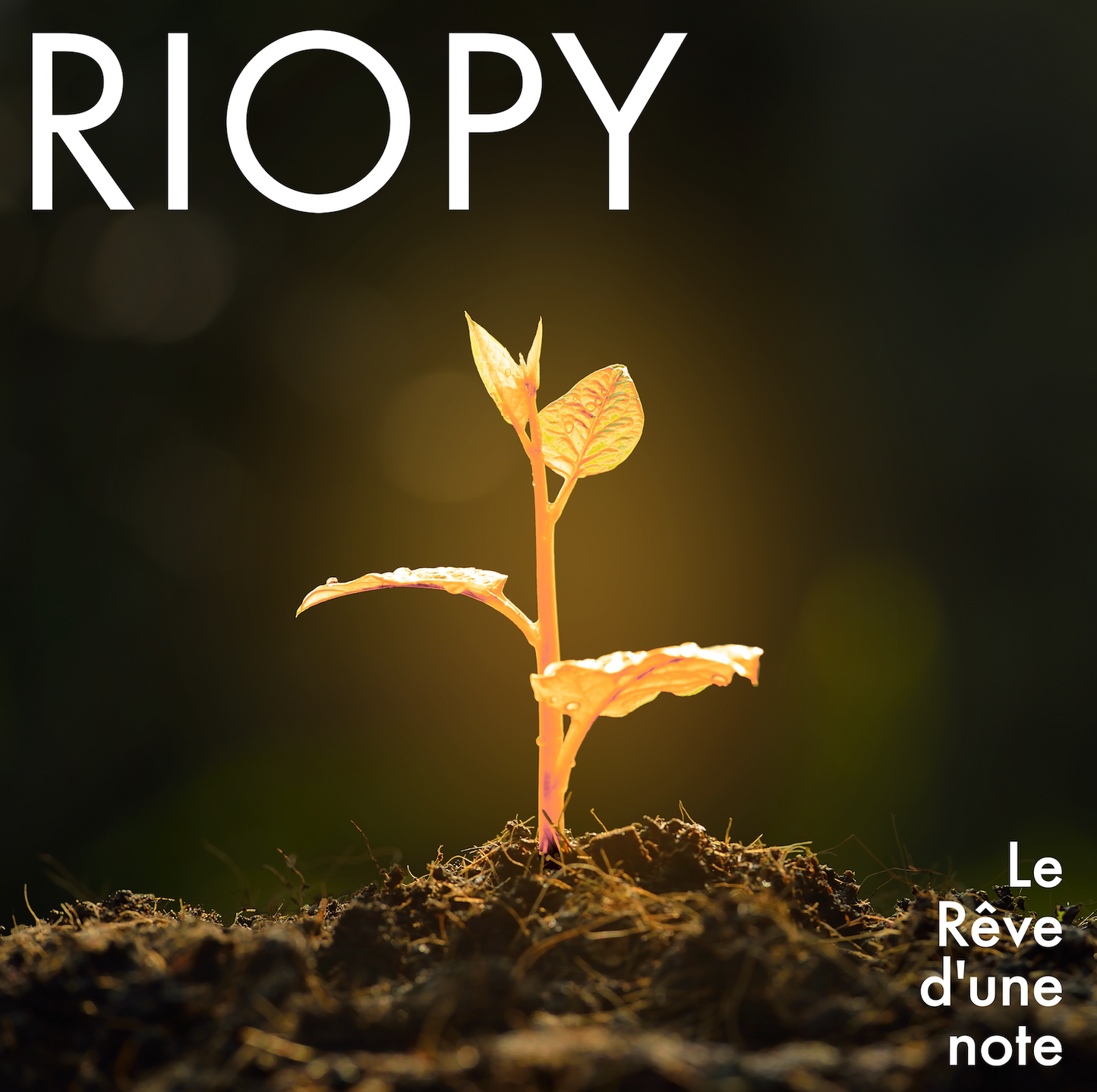 Le Rêve d'une Note sheet music from RIOPY